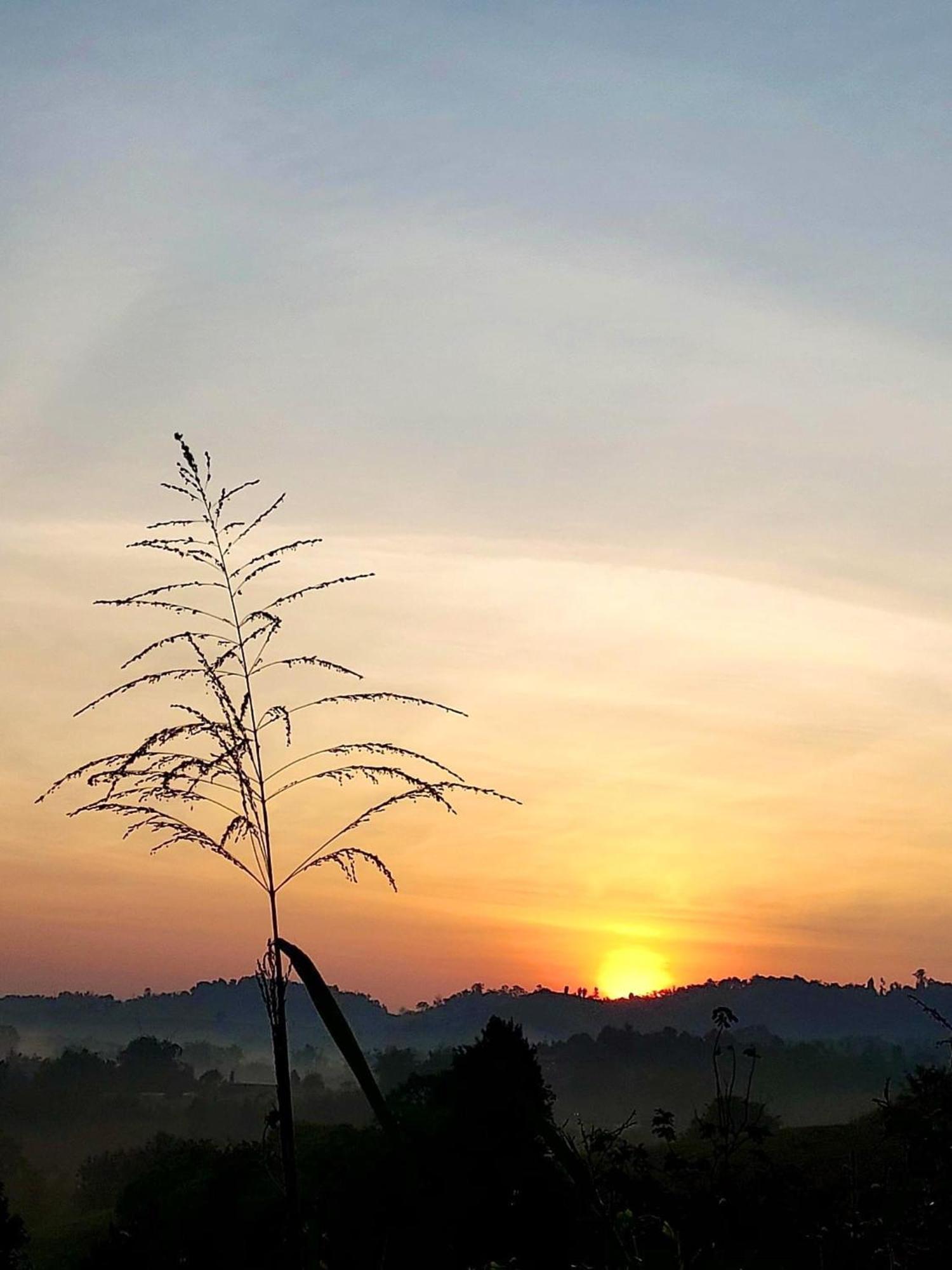 Chaikho Home Ban Khao Ya Nua Buitenkant foto